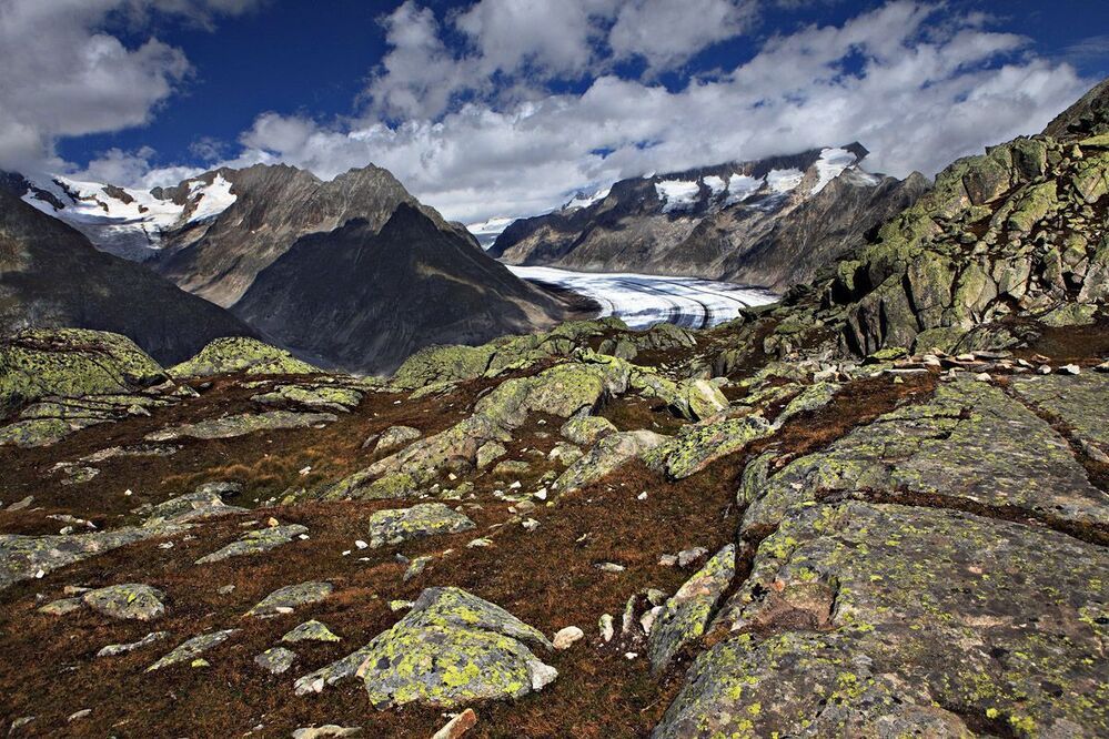 Grosser Aletschgletscher