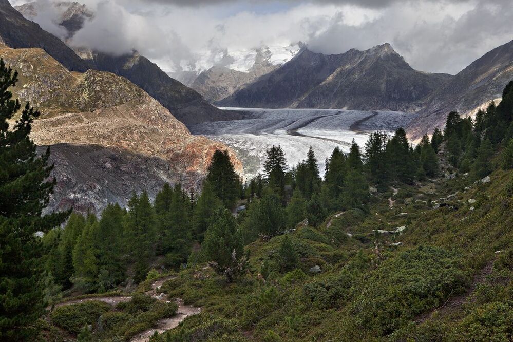 Grosser Aletschgletscher