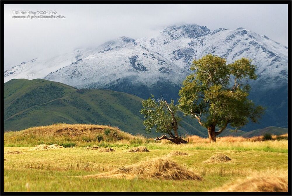 Зима подкралась очень близко. Август 2011.