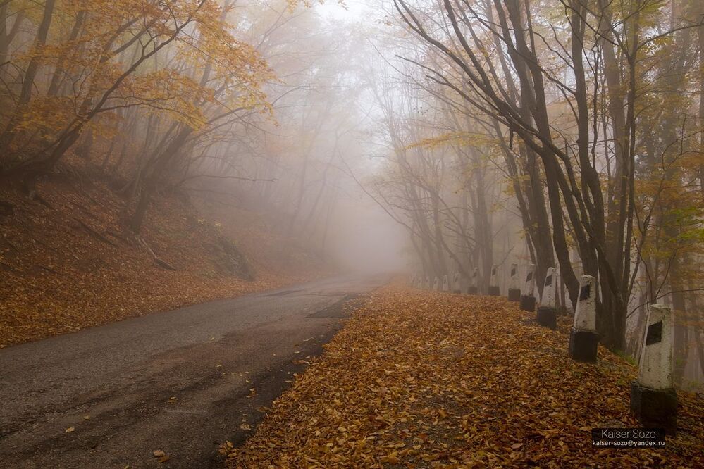 Следуя за белым кроликом