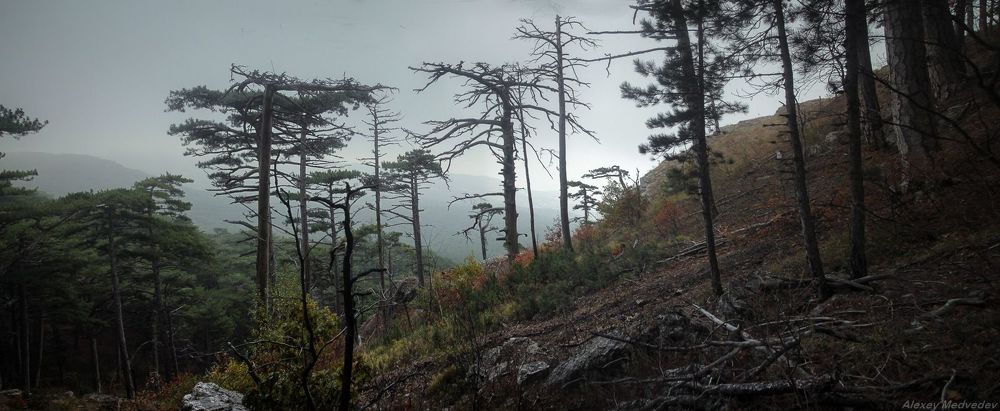 Спуск с Ай-Петри в Кореиз