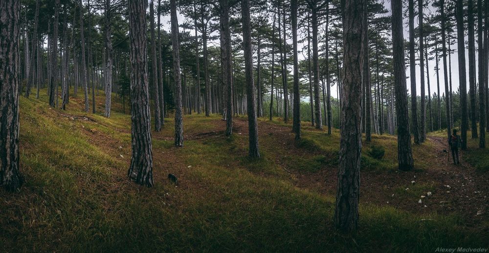 Спуск с Ай-Петри в Кореиз