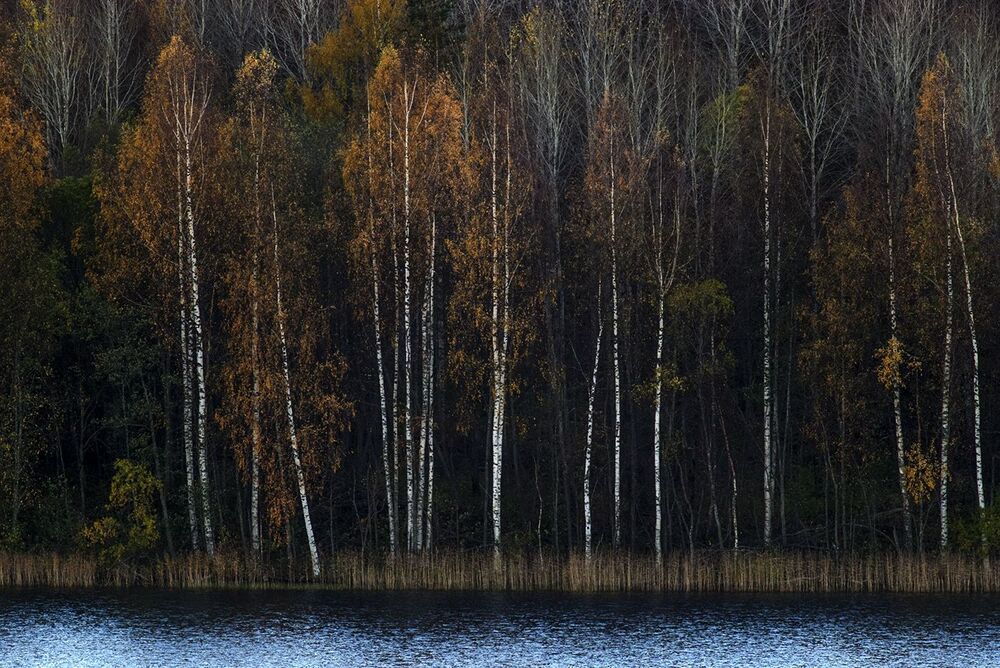 Уж реже солнышко блистало