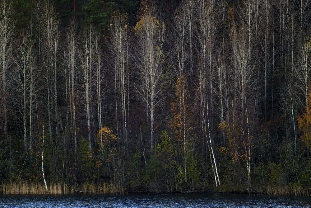 Уж реже солнышко блистало
