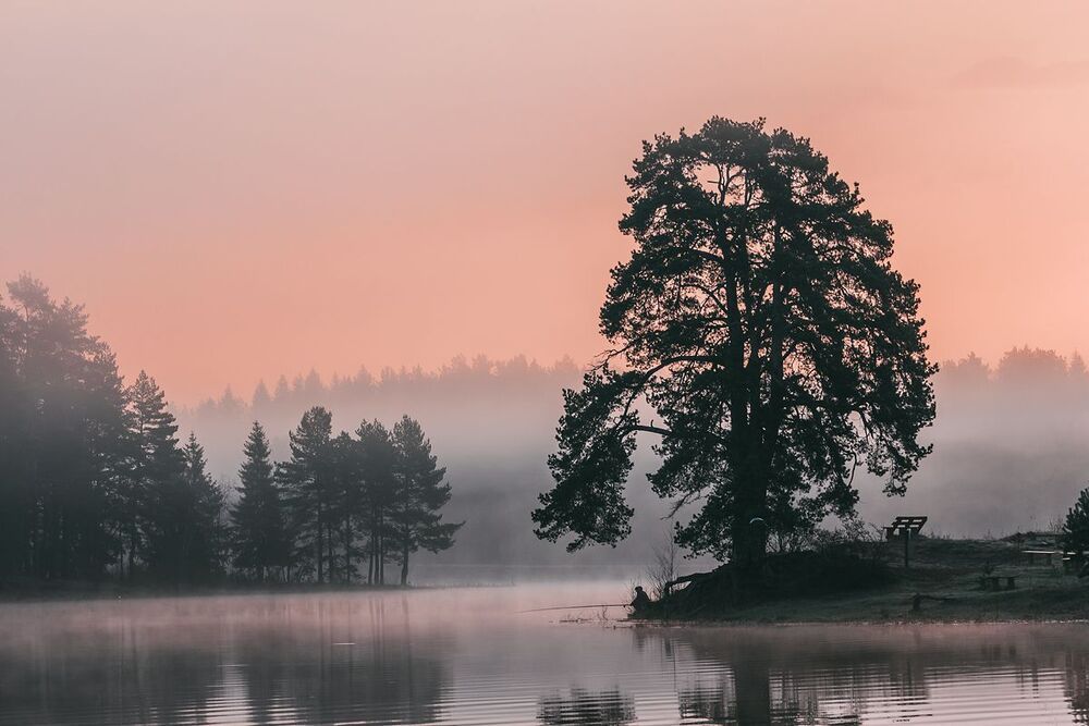 На заре