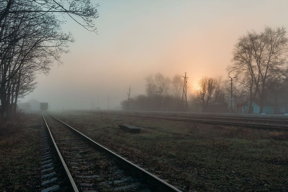 На заре