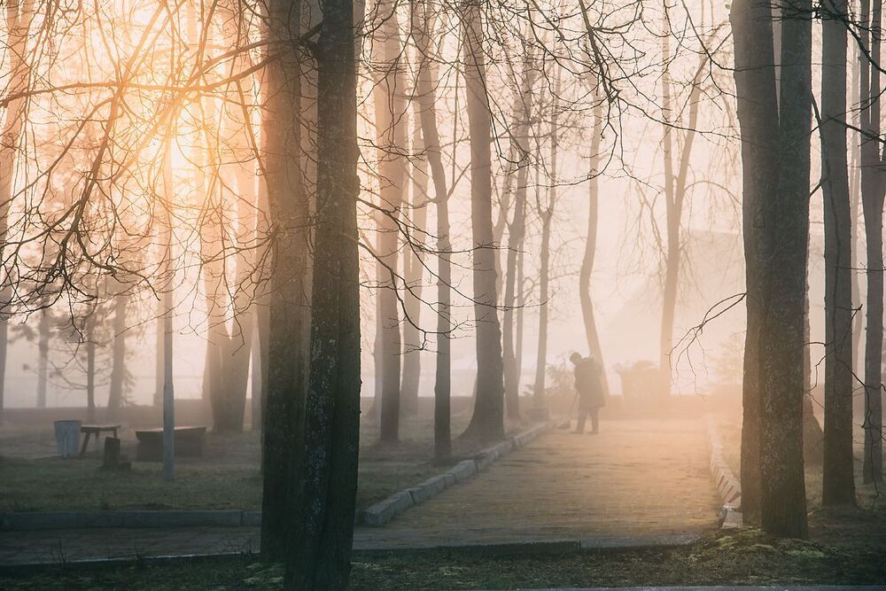 На заре