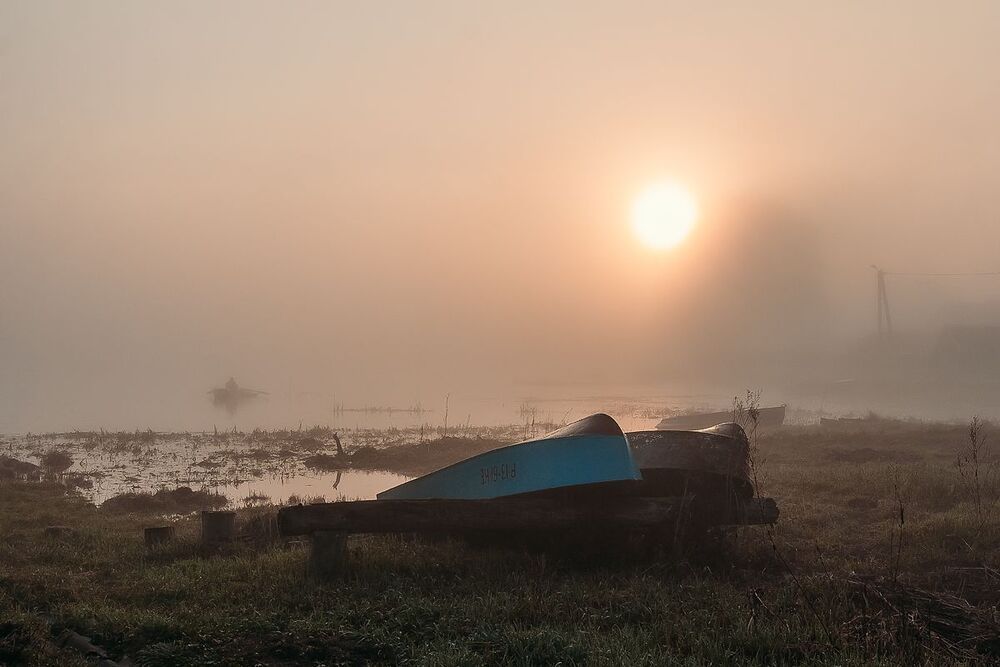 На заре