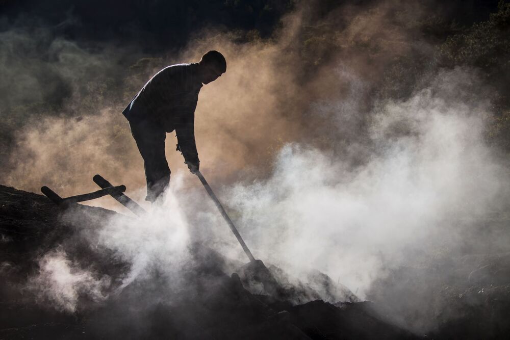 Wood charcoal workers