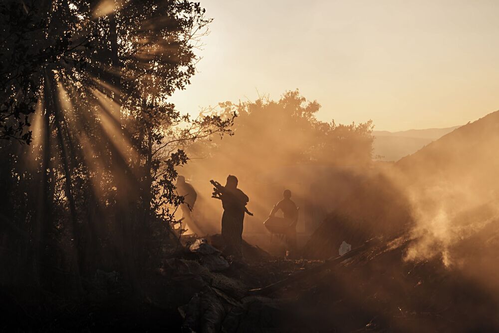 Wood charcoal workers