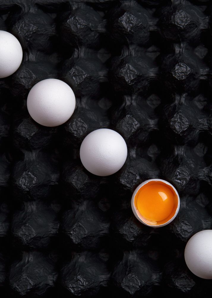 yolk