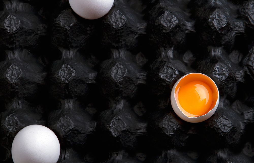 yolk