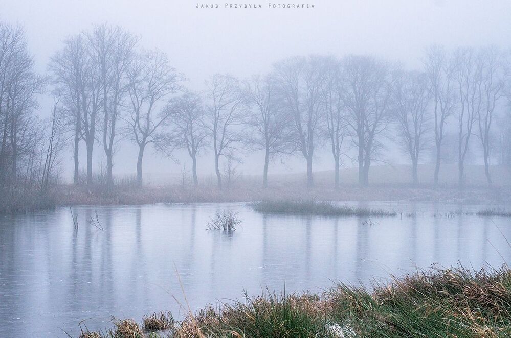 Frosty morning