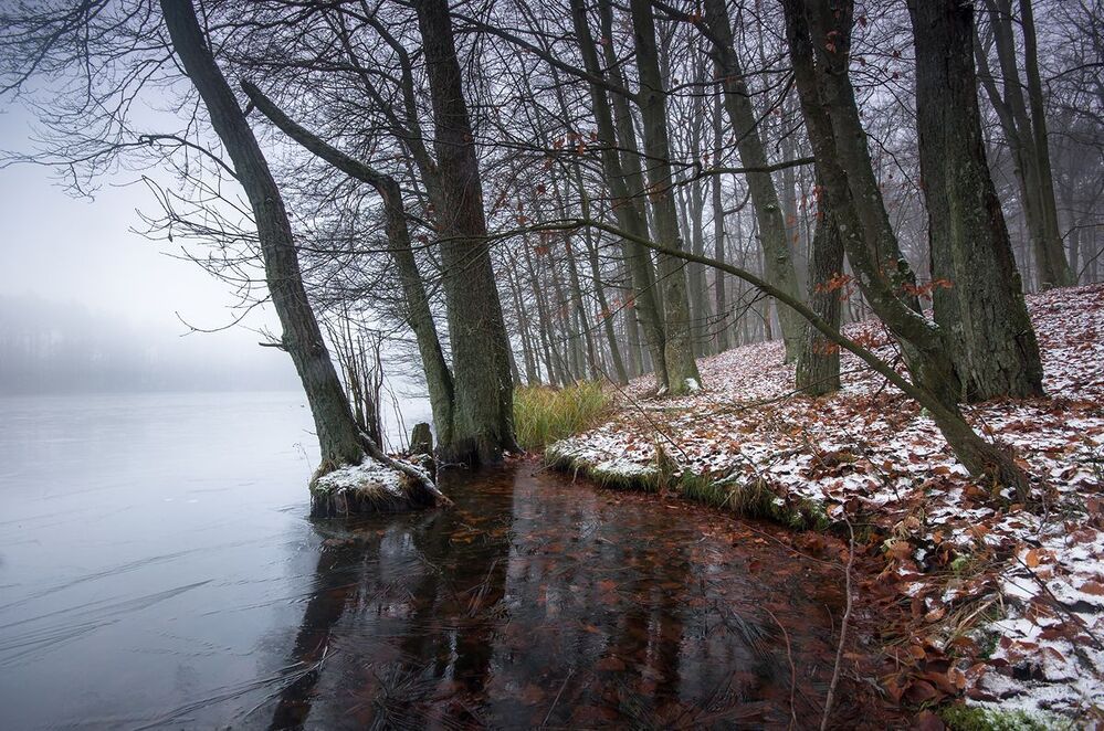 Frosty morning