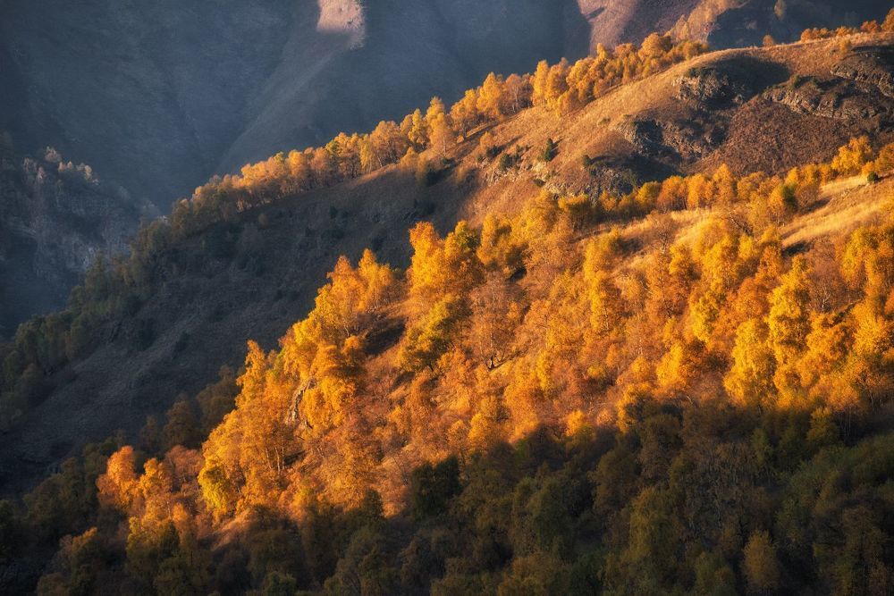 "Золотой" Кавказ.