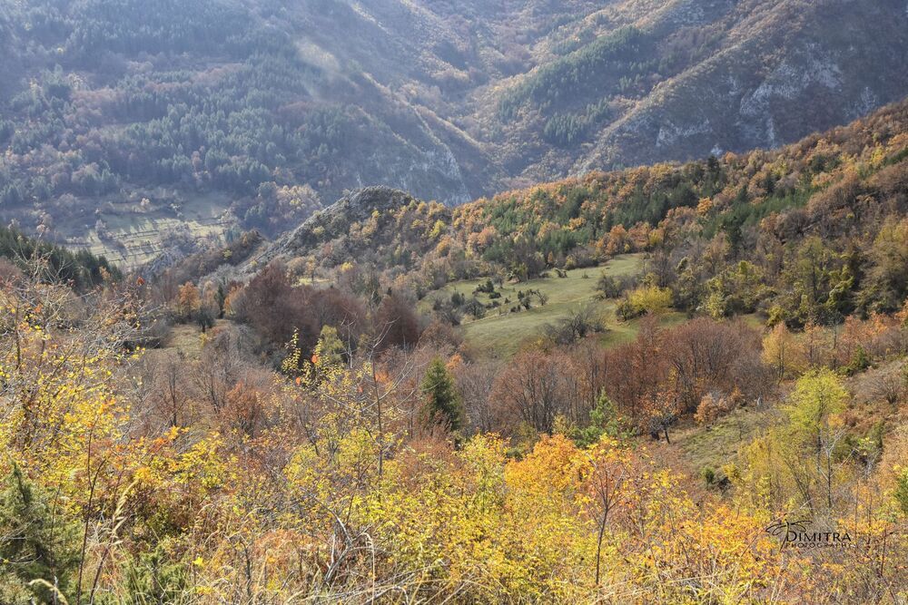 Дорога святые места