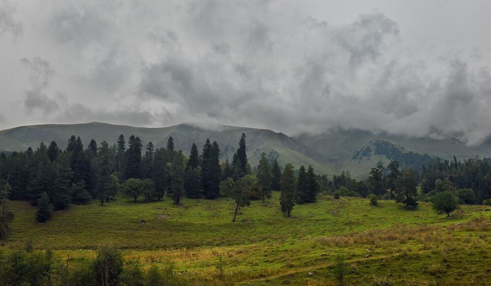 Photo 1023355