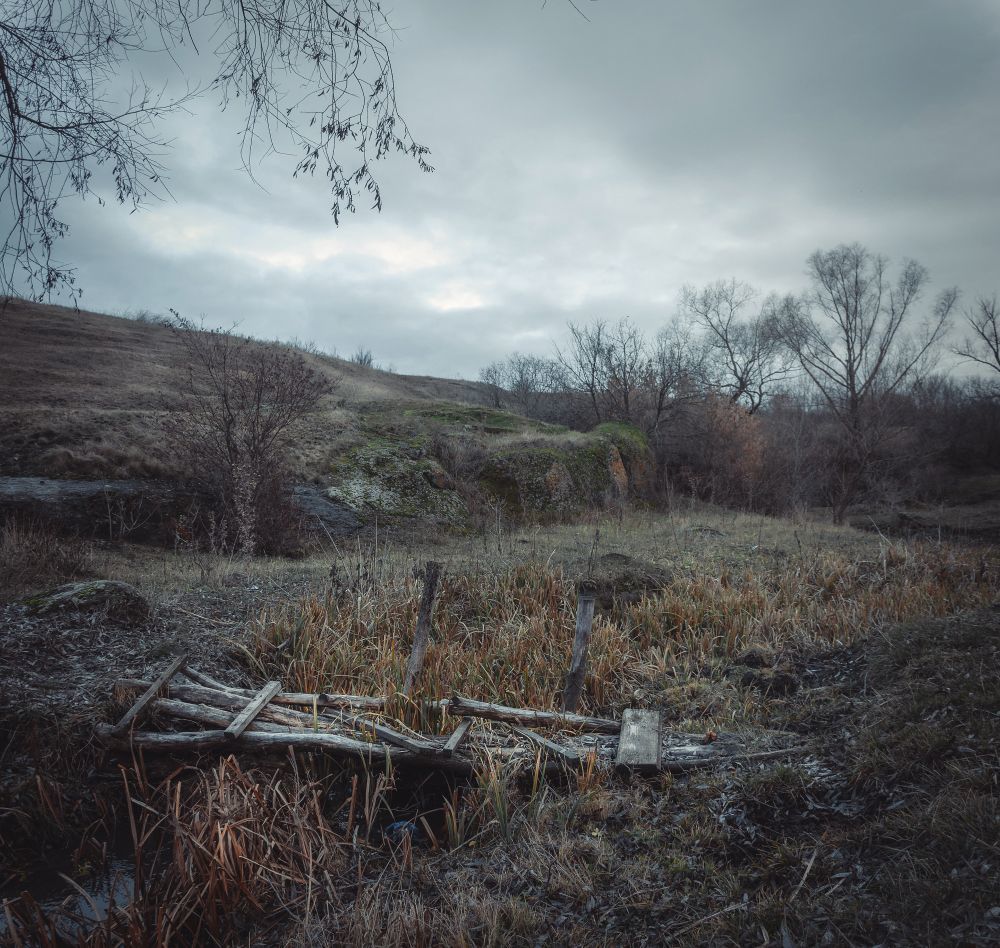 Photo 1023715
