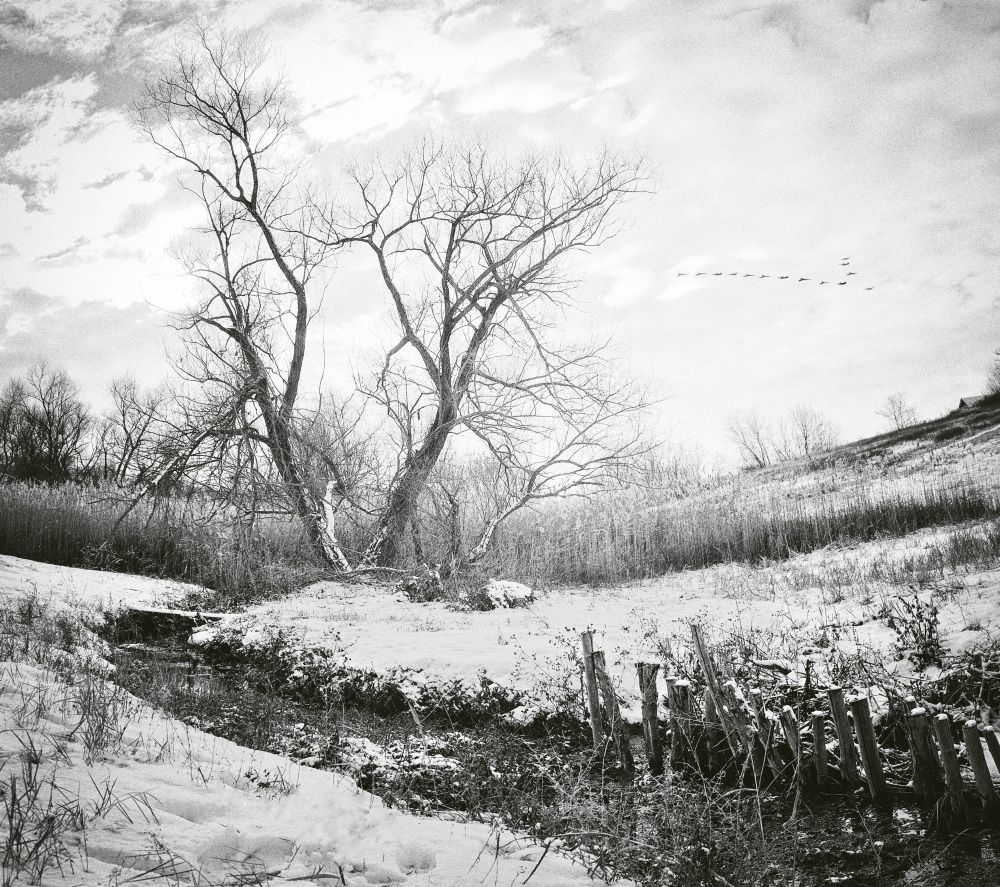 Photo 1023722
