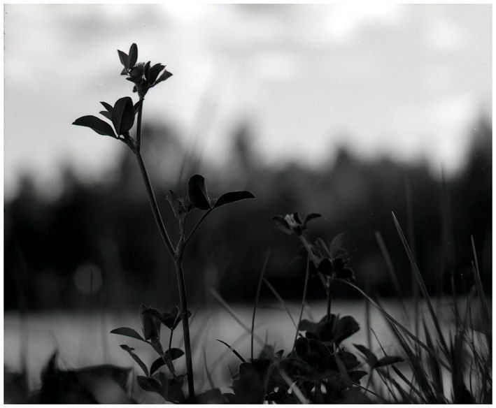 Photo 1023785