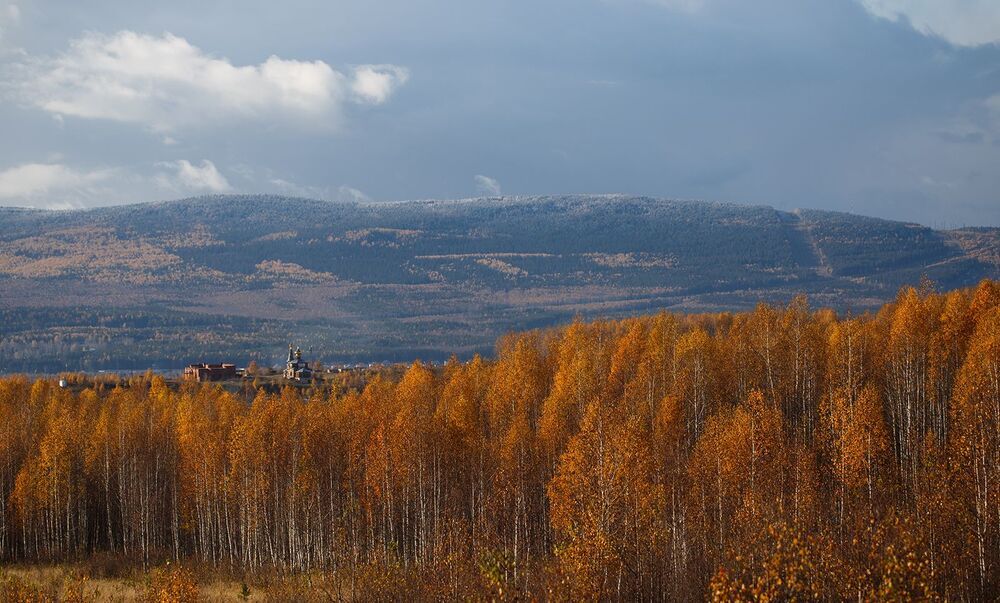 Photo 1025677