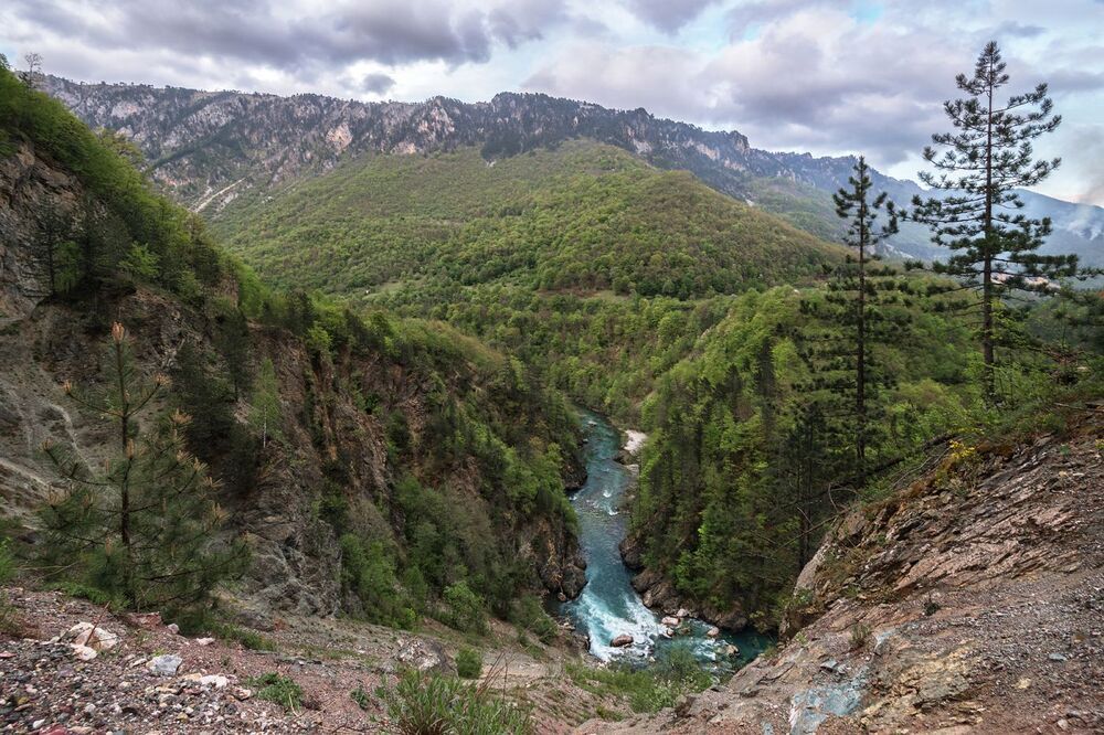 Каньон реки Тара