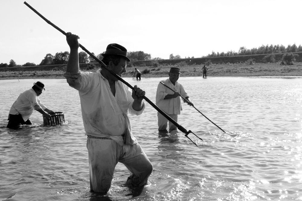 On the Sava River