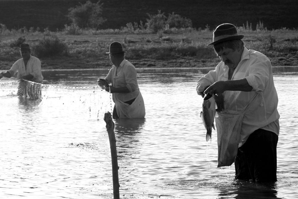 On the Sava River