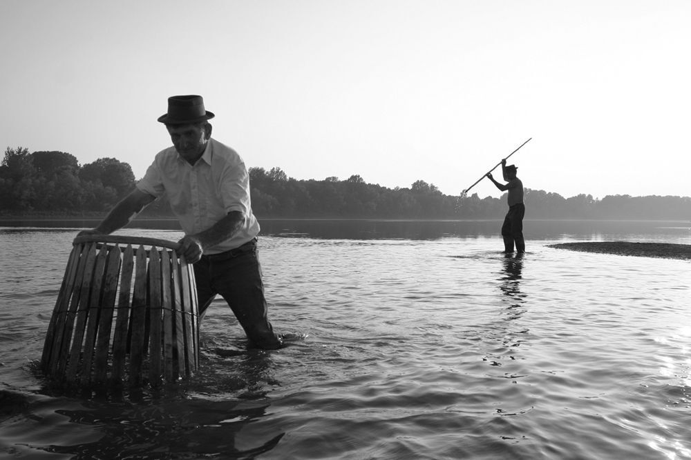 On the Sava River