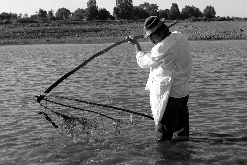 On the Sava River