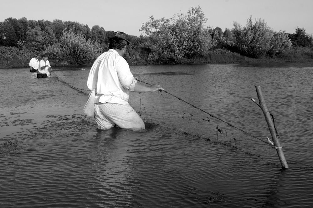 On the Sava River