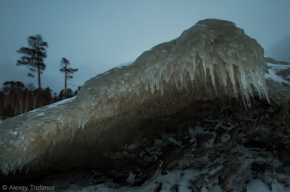 Драконы Братского моря