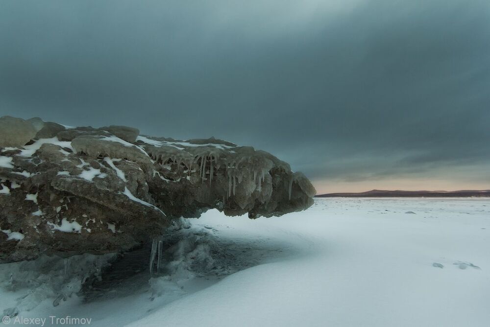 Драконы Братского моря