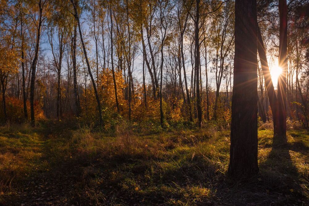 Осеннее великолепие