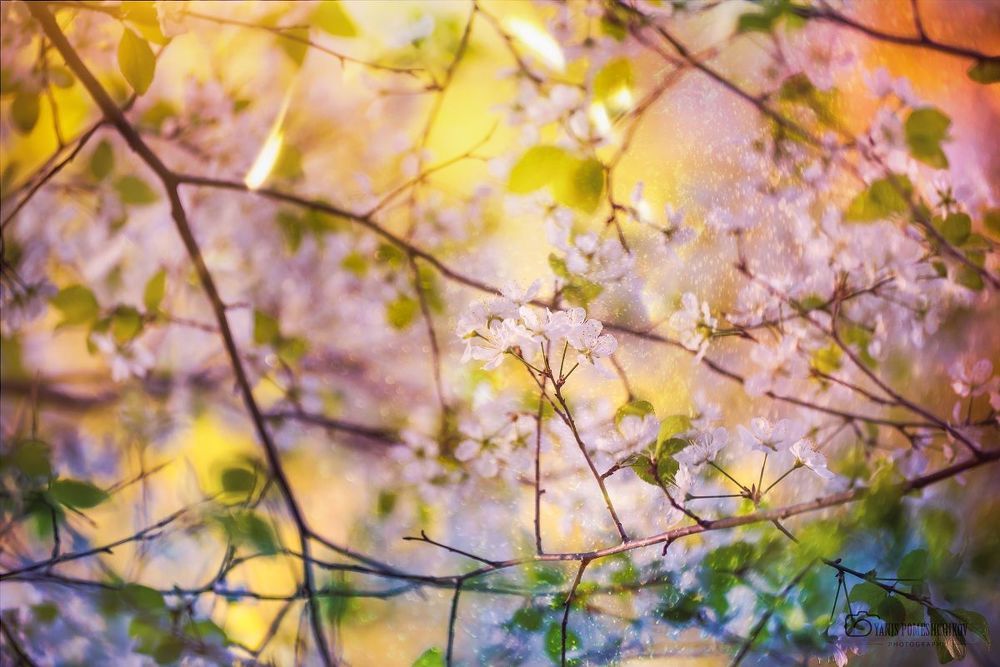colors of nature