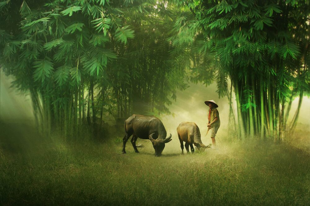 nature art