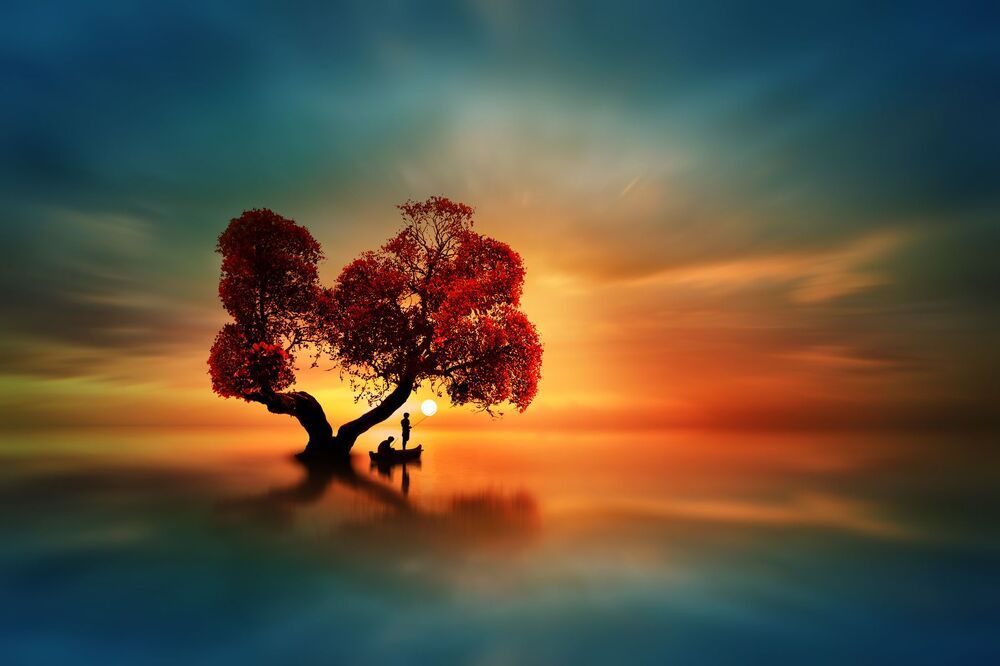nature art