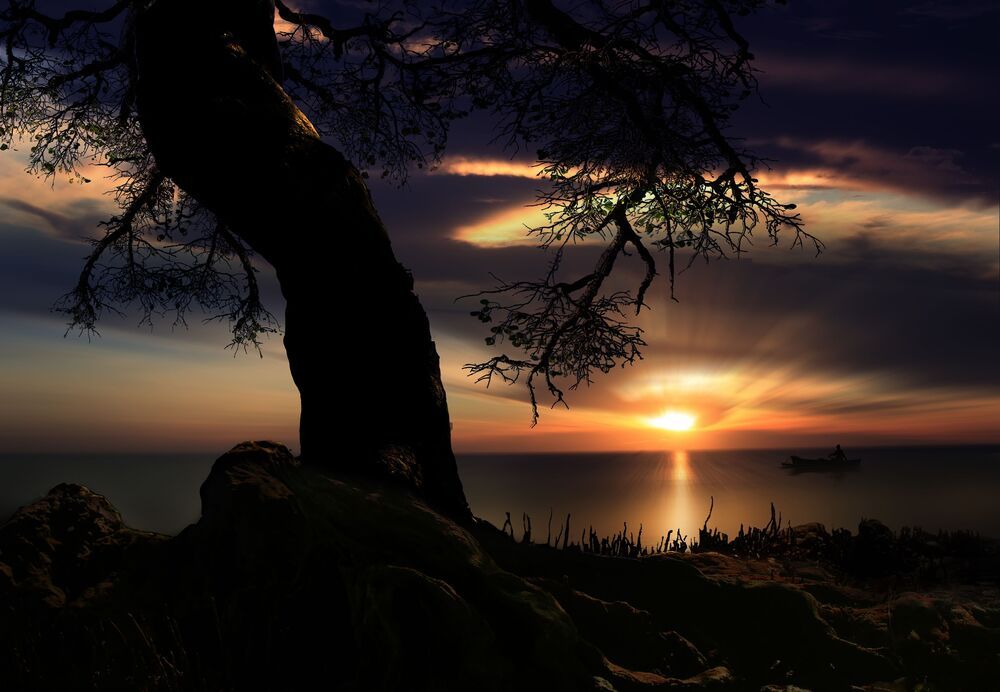 nature art