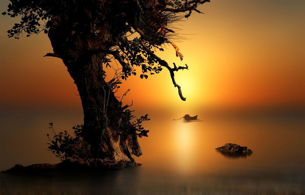 nature art