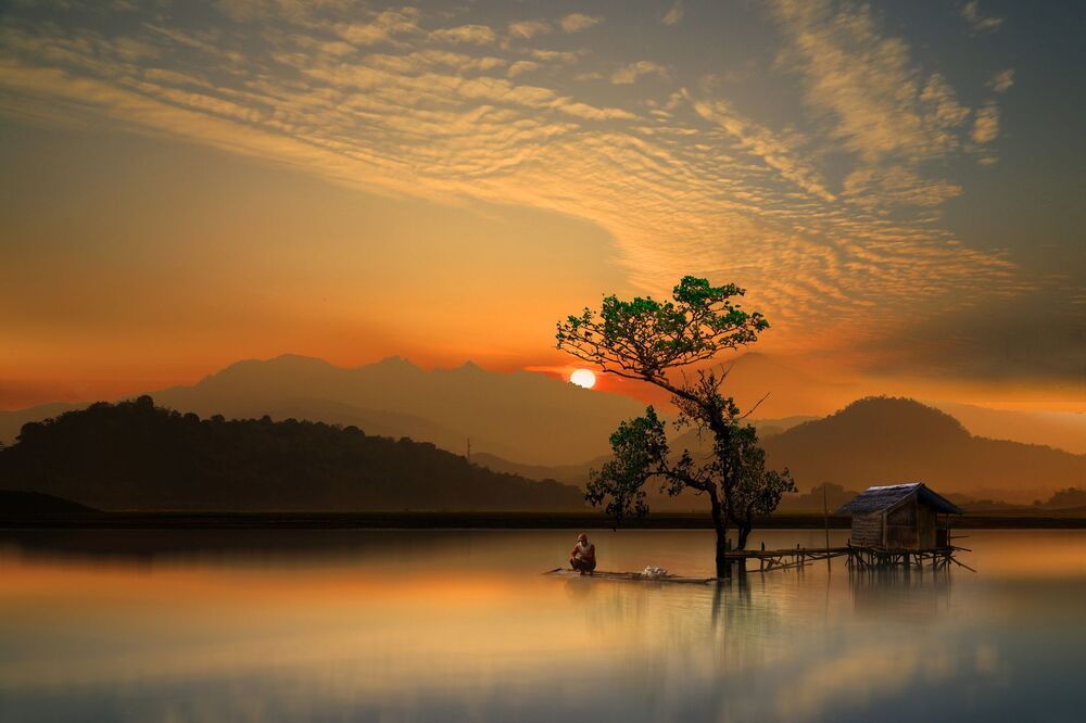 nature art