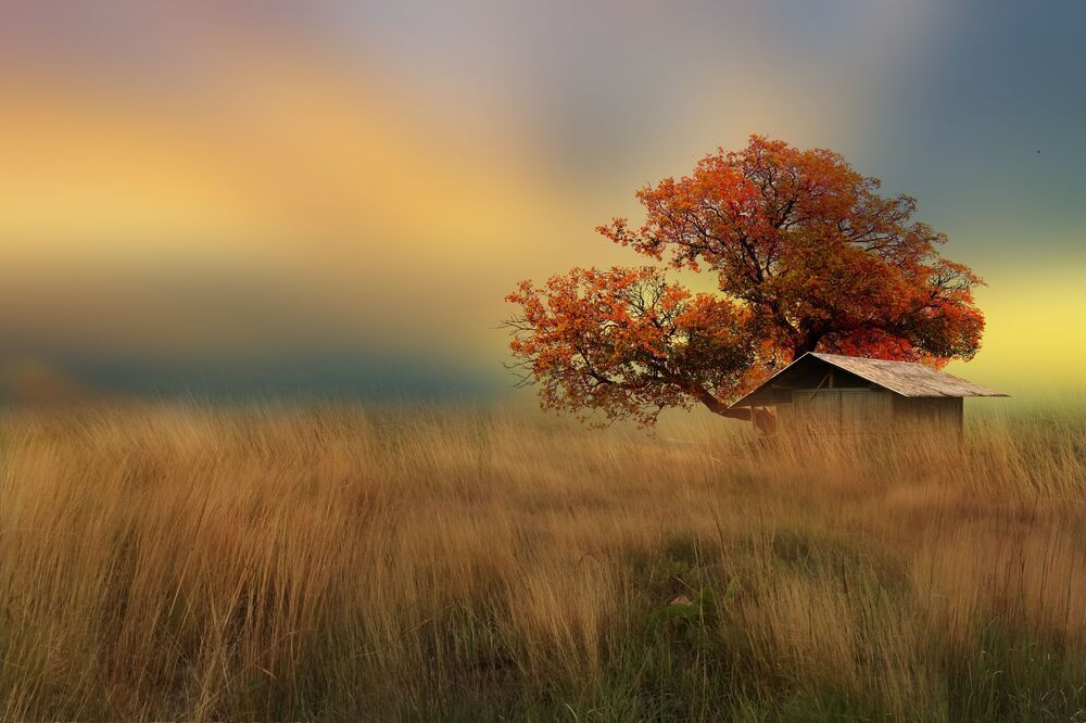 nature art