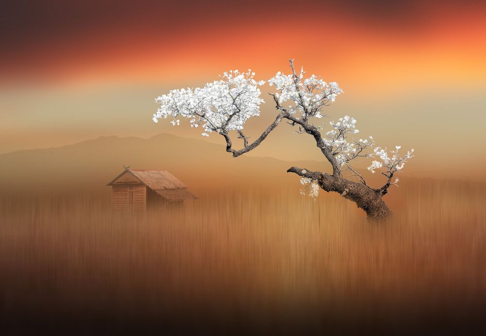 nature art