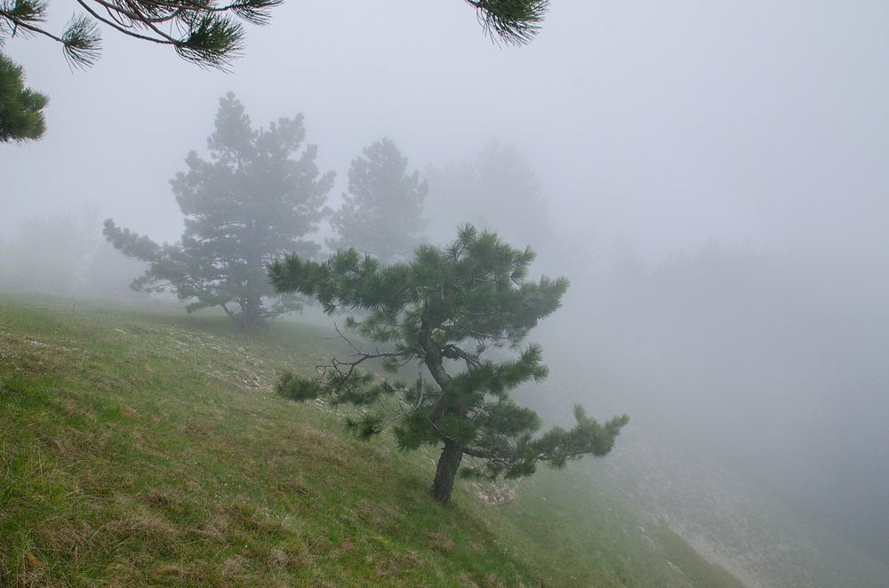 Photo 1028129