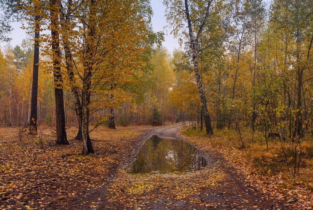 Промокшая осень