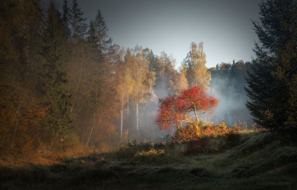 Photo 1028241