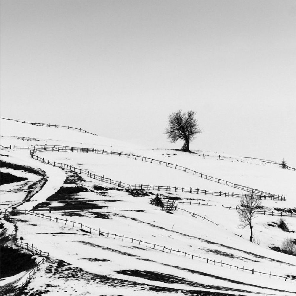 Photo 1028439