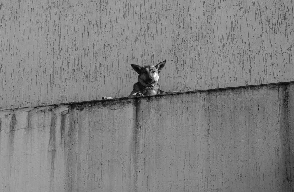 Photo 1029318