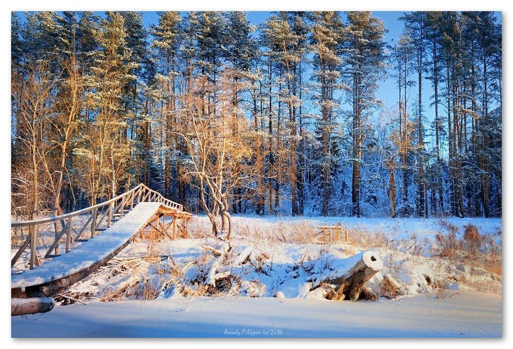 Winter views