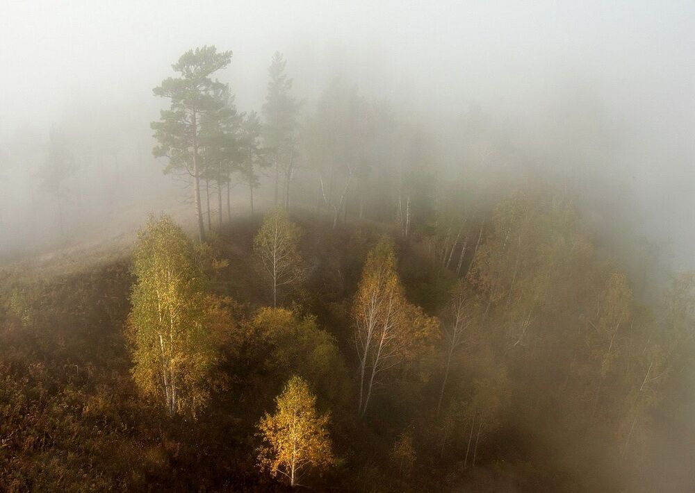 В нежной пелене тумана.