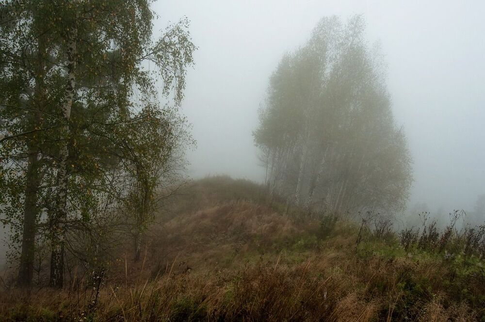 В нежной пелене тумана.